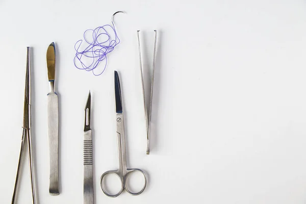 Dissection Kit Edelstahlwerkzeuge Für Medizinstudenten Der Anatomie Und Biologie Auf — Stockfoto