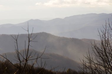 Gürcistan 'ın Kakheti şehrinde sonbahar ve sonbahar manzarası. Doğa arkaplanı.