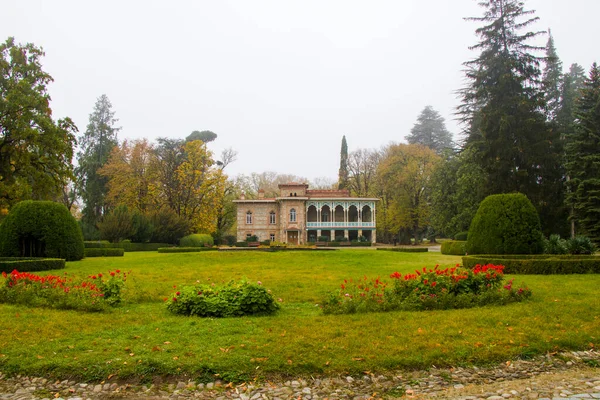 Alexander Chavchavadze Müzesi ve Tsinandali, Georgia 'daki bahçe.