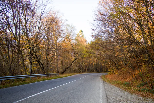 Lege Snelweg Weg Kakheti Georgië Herfstboom Planten Blauwe Bewolkte Lucht — Stockfoto