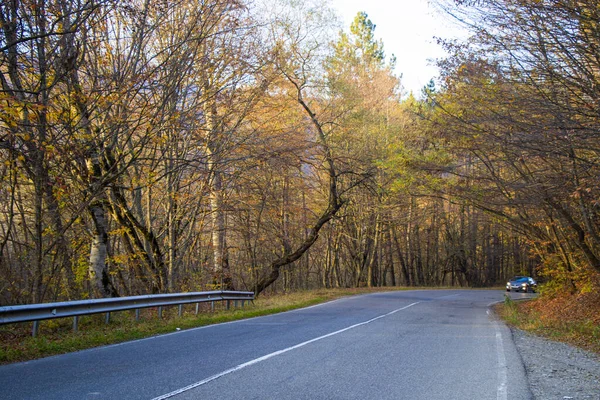 Prázdná Dálnice Silnice Kakheti Gruzii Podzimní Strom Rostliny Modrá Zamračená — Stock fotografie