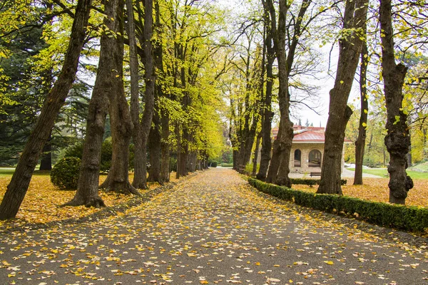Park Ogród Tsinandali Kacheti Gruzja Krajobraz Jesiennego Parku — Zdjęcie stockowe