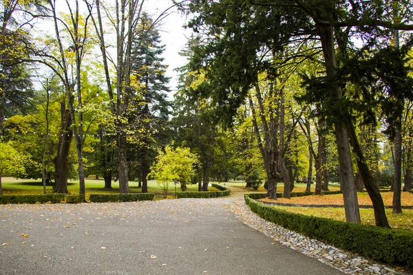 Parque Jardim Tsinandali Kakheti Geórgia Outono Parque Paisagem — Fotografia de Stock