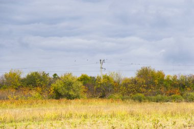Gürcistan 'ın Kakheti kentinde sonbahar ve sonbahar manzarası