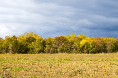 Gürcistan 'ın Kakheti kentinde sonbahar ve sonbahar manzarası