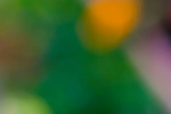 Bokeh Nature Blur Focus Background Nature Background Green Colors Sunlight — Stock Photo, Image