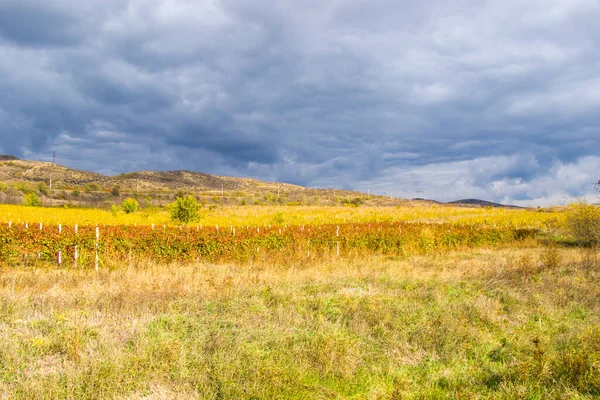 Jesień Jesień Krajobraz Widok Kacheti Gruzja — Zdjęcie stockowe