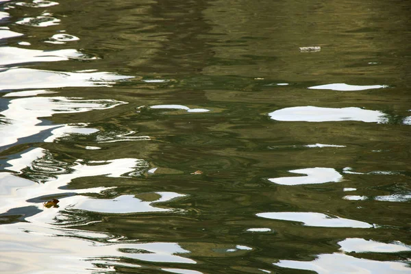 Grünes Flusswasser Hintergrund Und Textur — Stockfoto