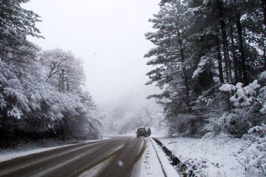 Kar yağarken karayolu, donmuş asfalt ve karlı ağaçlar, Georgia 'da kış manzarası.