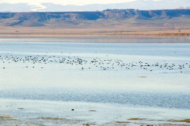 Gürcistan 'da kışın manzara ve göl manzarası