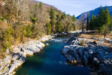 Nehir manzarası ve manzarası, gün ışığı ve açık hava, Gürcistan doğası.