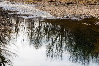 Nehir manzarası ve manzarası, gün ışığı ve açık hava, Gürcistan doğası.