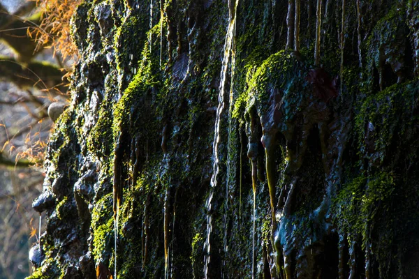 Scogliere Acqua Muschio Primo Piano Macro — Foto Stock