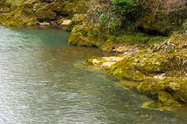 Nehir manzarası ve manzarası, gün ışığı ve açık hava, Gürcistan doğası.