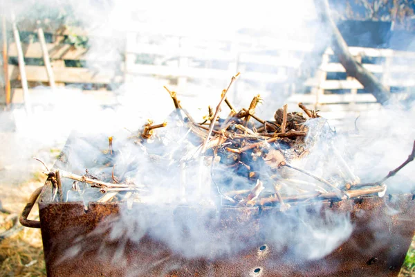 Bois Chauffage Dans Gril Grill Métallique Feu Pour Farine Viande — Photo