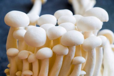 Beyaz Asya mantarı, çiğ vejetaryen yemeği, mantar.