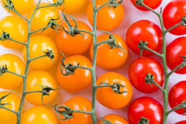 Tüm renkler ve renkli domatesler, yüksek açılı gıda arka planı, kırmızı, sarı ve turuncu renkler.