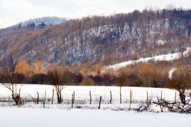 Kış manzarası ve manzarası, güneş ışığı ve kar Gürcistan 'da, dağ manzarası