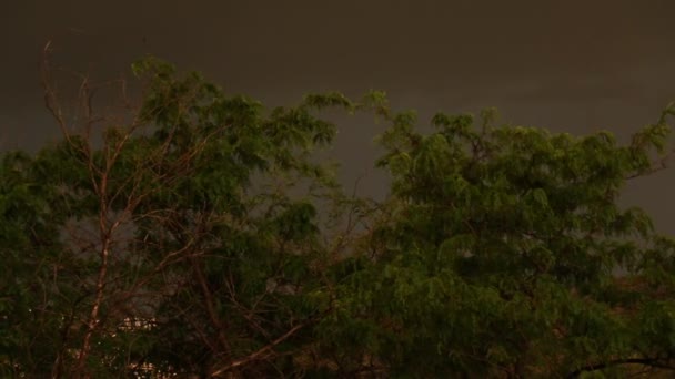 Хмари Мису Штормова Погода Цифровий Кінематограф Фон Хмари Фон Грім — стокове відео