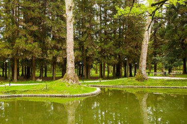 Parktaki gölet, Georgia 'daki Zugdidi Botanik Bahçesi. İlkbahar.