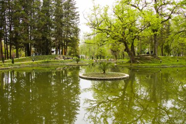 Parktaki gölet, Georgia 'daki Zugdidi Botanik Bahçesi. İlkbahar.