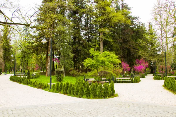 Ogród Park Ogród Botaniczny Zugdidi Gruzji Ogród Wiosenny — Zdjęcie stockowe
