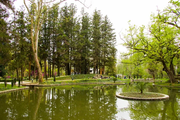 Lagoa Parque Jardim Botânico Zugdidi Geórgia Primavera — Fotografia de Stock