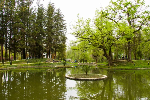 Lagoa Parque Jardim Botânico Zugdidi Geórgia Primavera — Fotografia de Stock