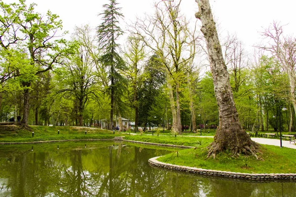 Estanque Parque Jardín Botánico Zugdidi Georgia Primavera —  Fotos de Stock