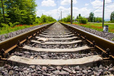 Gürcistan 'da demiryolu manzarası, tren yolu ve istasyon, gelincik ve sarı çiçek tarlalarıyla çizgiler ve ufuk.