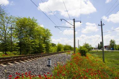 Gürcistan 'da demiryolu manzarası, tren yolu ve istasyon, gelincik ve sarı çiçek tarlalarıyla çizgiler ve ufuk.