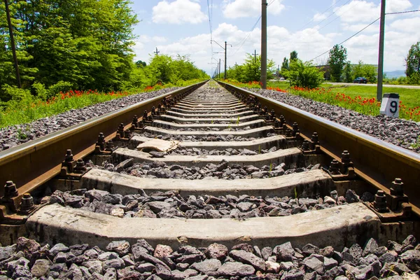 Eisenbahnblick Georgien Eisenbahnstraße Und Bahnhof Linien Und Horizont Mit Mohn — Stockfoto