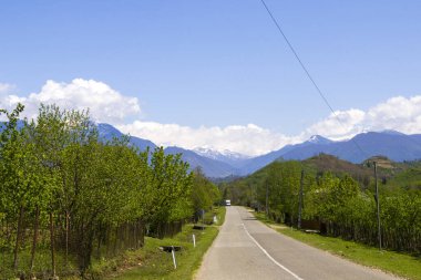 Gürcistan 'daki boş otoyol ve yol güneş ışığı, mavi gökyüzü ve ağaçlar boyunca