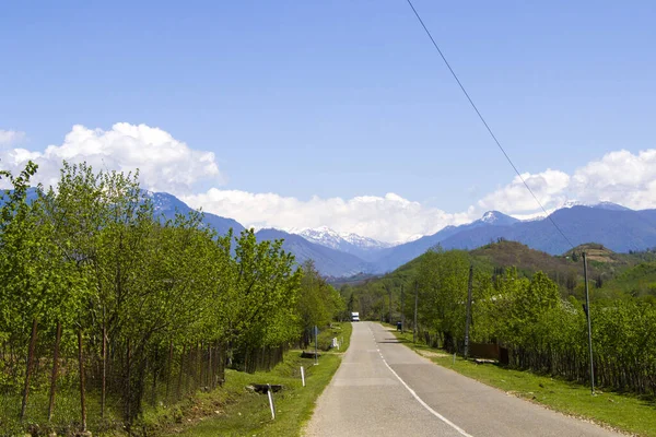 青い空と木の間にジョージアの空の高速道路と道路 — ストック写真