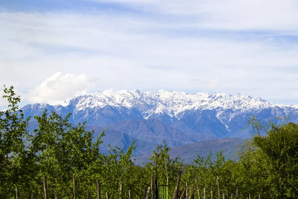 エグリシ山の風景 ジョージア州の冬の風景 — ストック写真