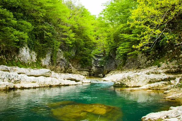 Landschaft Und Blick Auf Den Grünen Fluss Fluss Martvili Samegrelo — Stockfoto