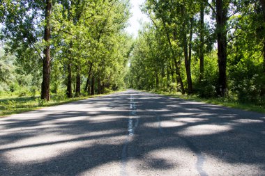 Gürcistan 'da karayolu ve yol manzarası, gölgeler ve güneş ışığı