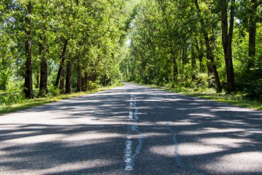 Gürcistan 'da karayolu ve yol manzarası, gölgeler ve güneş ışığı