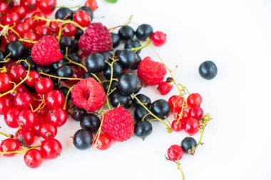 Beyaz arka planda kırmızı ve siyah frenk üzümü ve böğürtlen. Geniş renkli böğürtlen grubu..