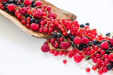 Beyaz arka planda kırmızı ve siyah frenk üzümü ve böğürtlen. Geniş renkli böğürtlen grubu..