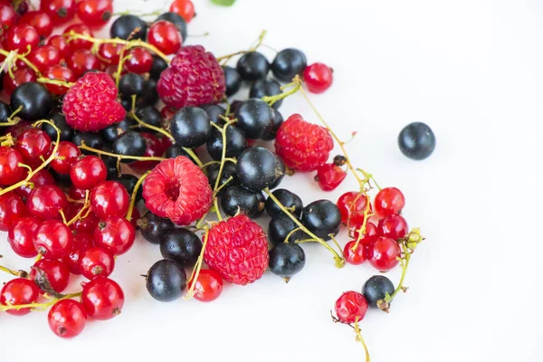 红色和黑色的醋栗和蓝莓在白色的背景 大群五彩缤纷的浆果 — 图库照片