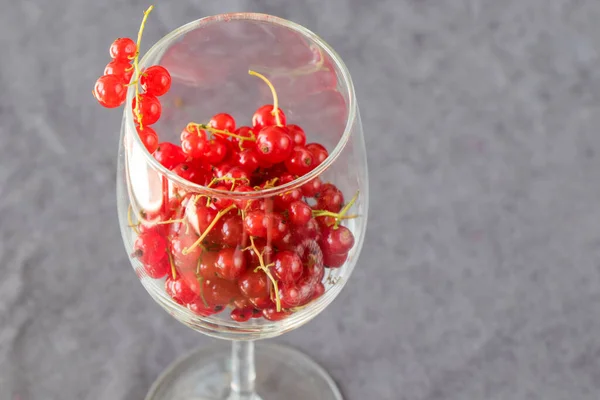 Grosella Roja Copa Vino Sobre Fondo Tela Gris Gran Grupo — Foto de Stock