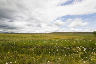 Mountain landscape and view in Tsalka, Georgia. Green field and clouds.