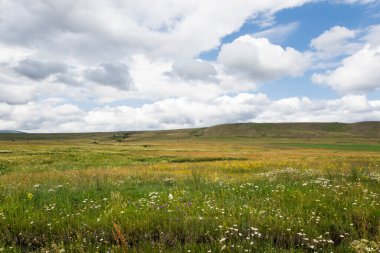 Mountain landscape and view in Tsalka, Georgia. Green field and clouds.
