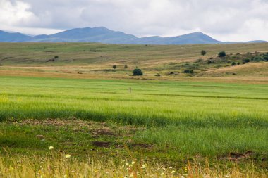 Mountain landscape and view in Tsalka, Georgia. Green field and clouds.