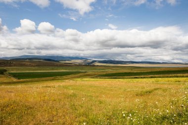 Georgia, Tsalka 'daki dağ manzarası ve manzarası. Yeşil alan ve bulutlar. Tarım.