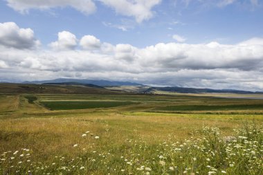 Georgia, Tsalka 'daki dağ manzarası ve manzarası. Yeşil alan ve bulutlar. Tarım.