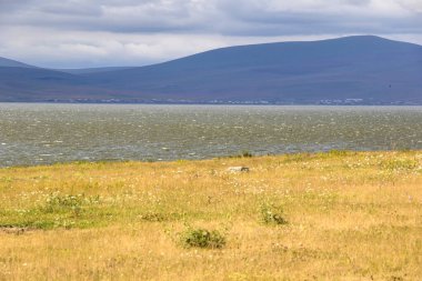 Paravani göl manzarası ve Georgia manzarası, yaz zamanı.