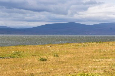 Paravani göl manzarası ve Georgia manzarası, yaz zamanı.