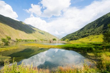 Bataklık manzarası, doğa geçmişi, Gürcistan 'da gidilecek yer. Vuruş ve bataklık.
